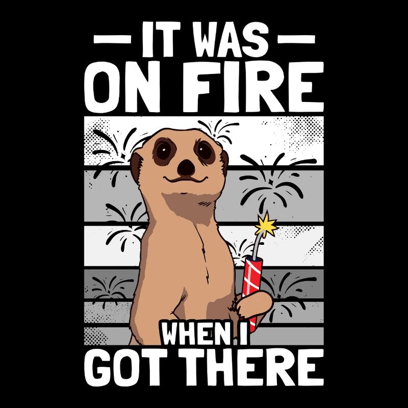 It was on fire: pyrotechnicians, firecrackers, fireworks