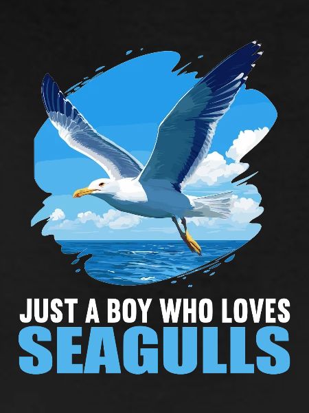 Seagulls Seagull