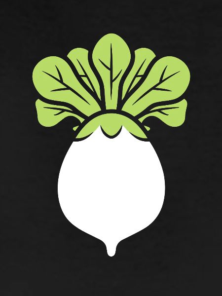 Endive