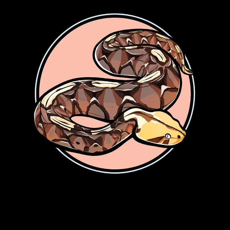 Gabunvipern Gabunviper