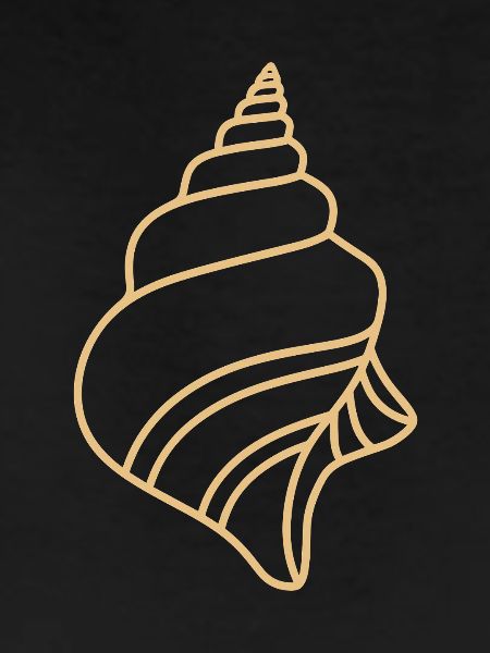shell