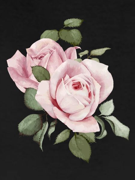 Roses