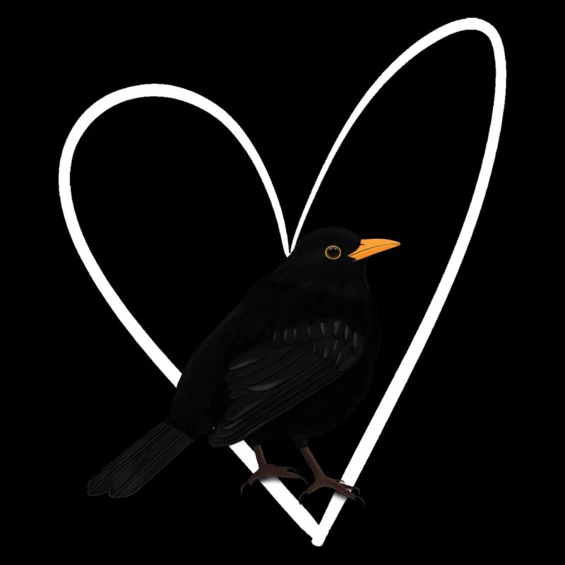 Amsel Herz Vogel Vogelbeobachter Singvogel