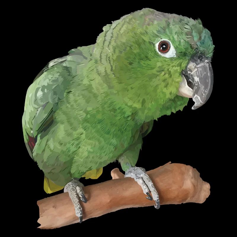 The farinous parrot