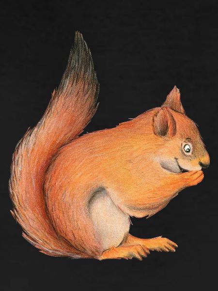 squirrel