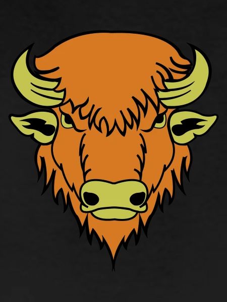 Buffalo
