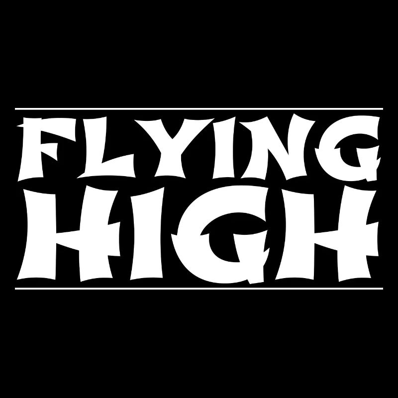 bday graceful flight statement funny sayings pilot