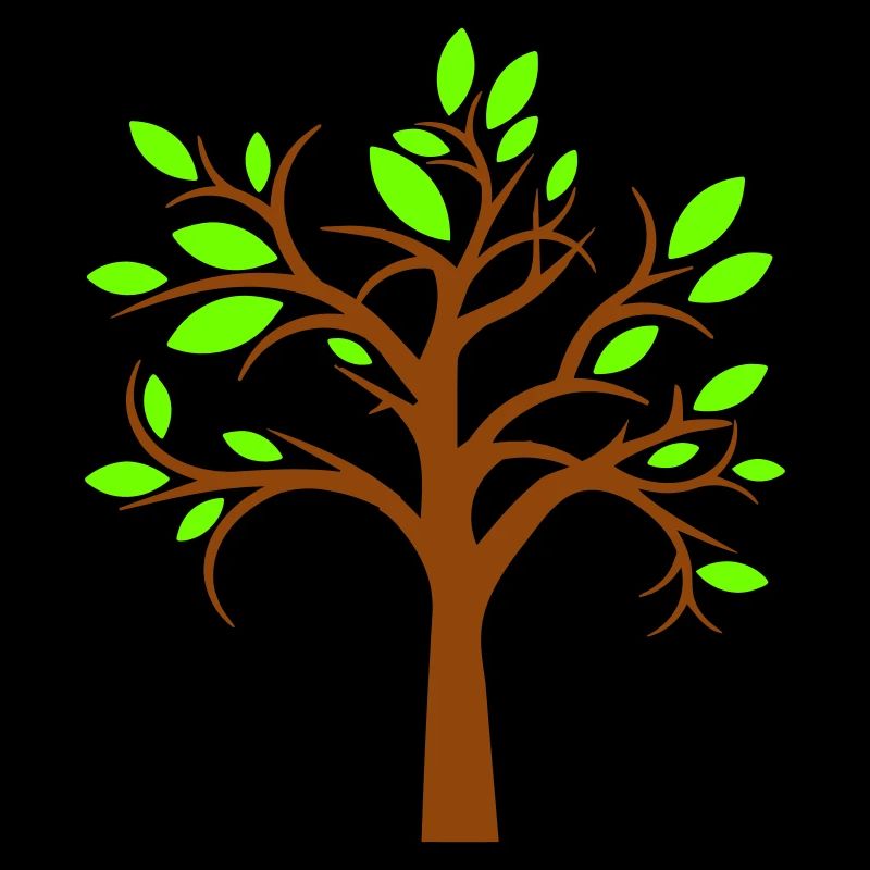 Tree Beautiful Leaves Nature Forest Tree Silhouette