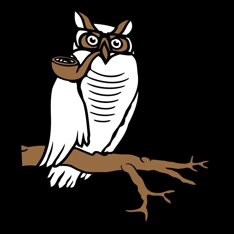 Owl Pipe Smoking Old Grandpa Eagle Owl Branch Tree Forest