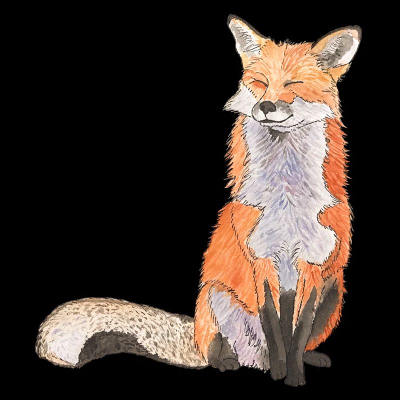 Fox sitting satisfied Fox smart foxes