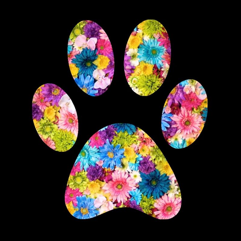 Patte d’animal