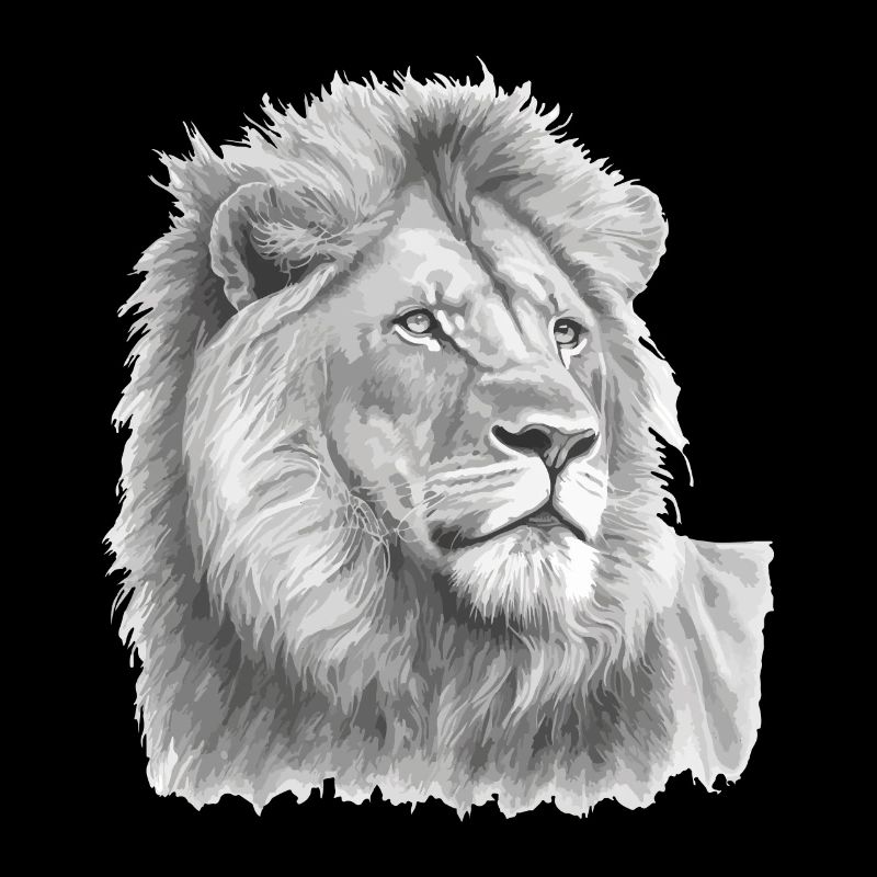 Lion Lion's Head Black and White Drawn Art