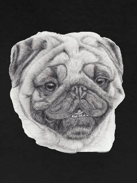 Mops Mops 2