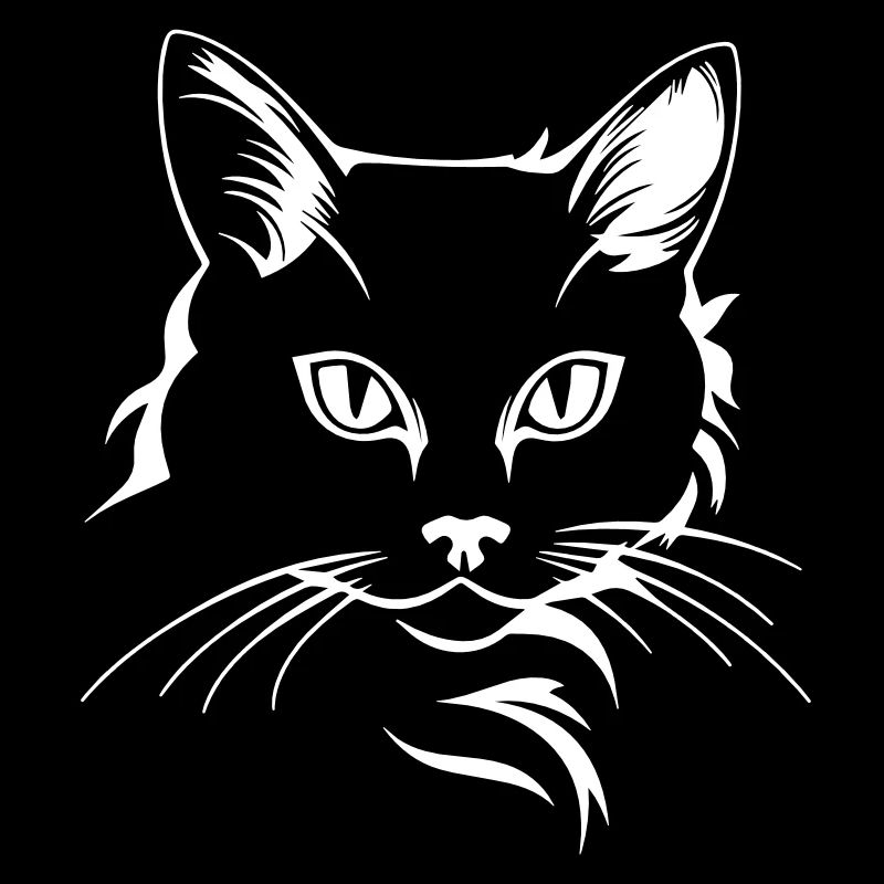 Katze