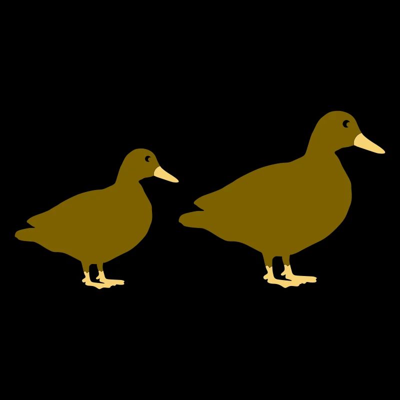 Ducks