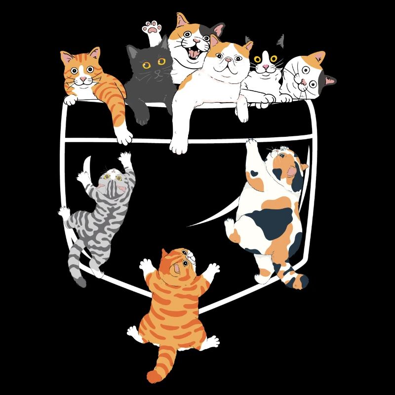 Chats mignons grimpant - idée cadeau original