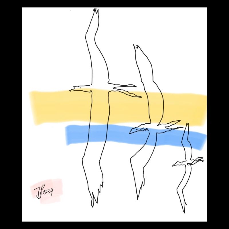 Oiseaux libres