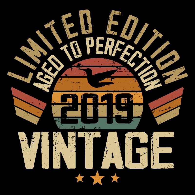 Vintage 2019 Retro Geburtstagsgeschenk 2019