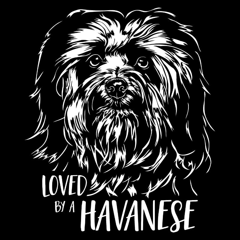 Loved by a Havanese Hunde Hundespruch Wilsigns