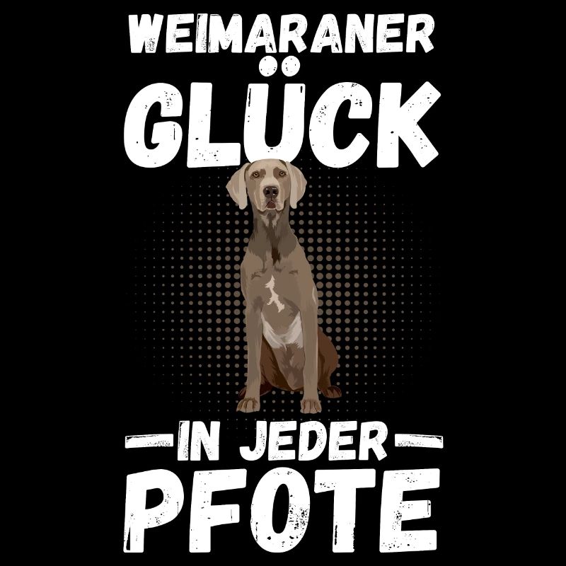 Braque de Weimar chien
