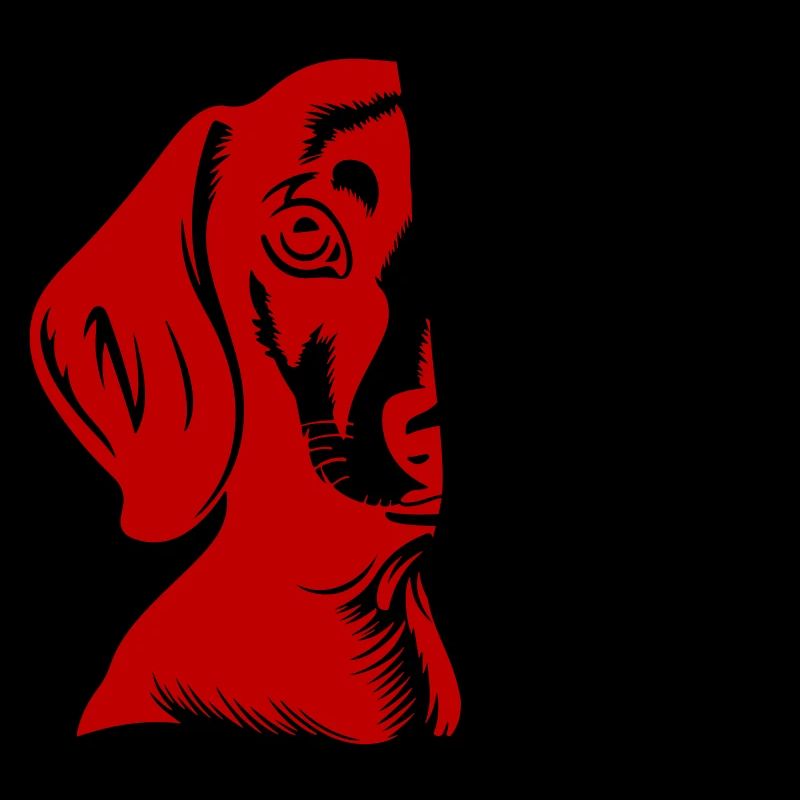 Dachshund Hund Kopf Dackel