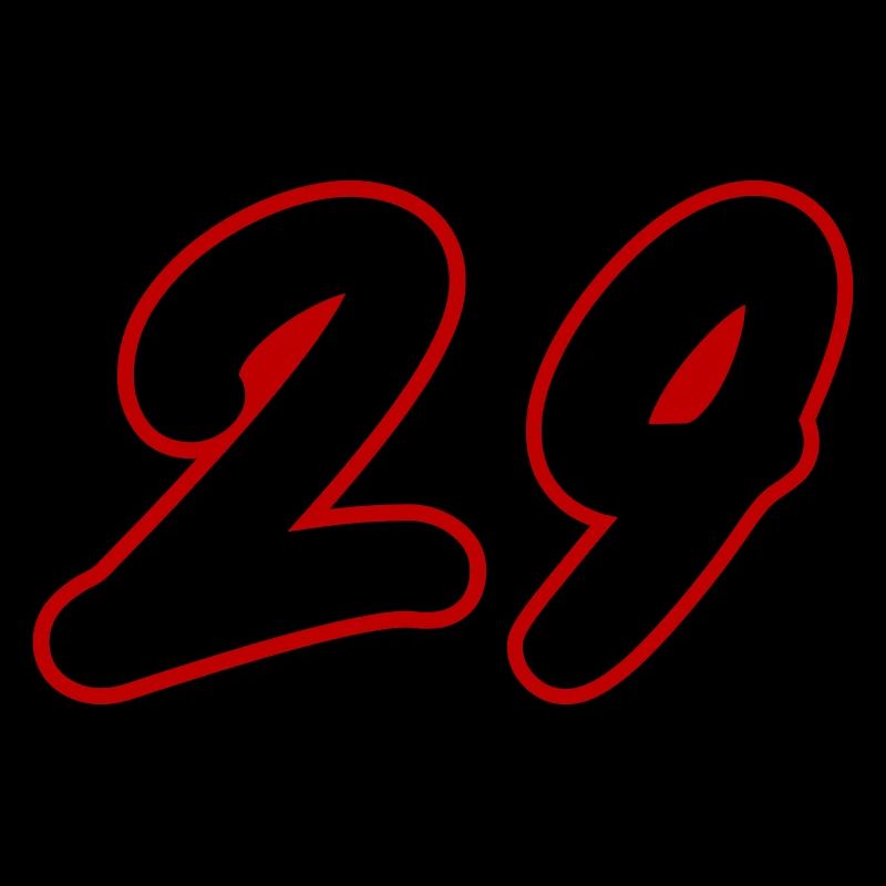 29 Number symbol