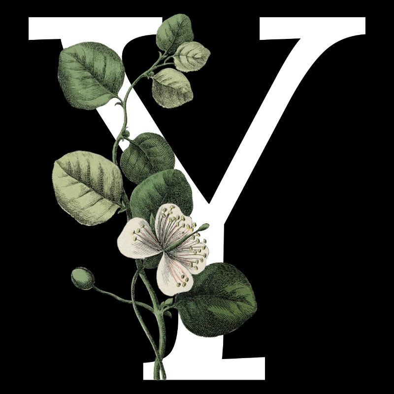 lettre y botanique vert