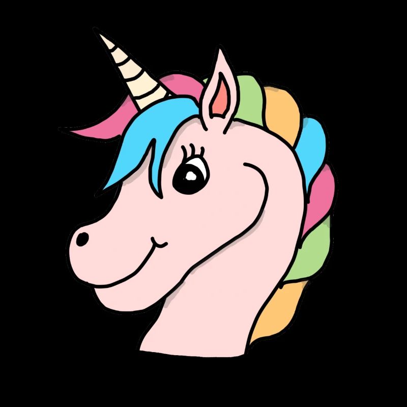 Einhorn Regenbogen Rosa
