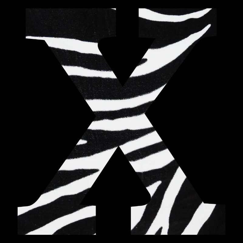 Letter x zebra