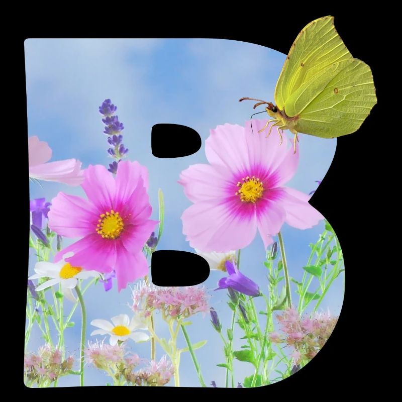 fleurs de printemps papillon b