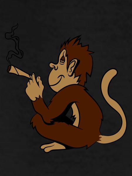 monkey weed hemp