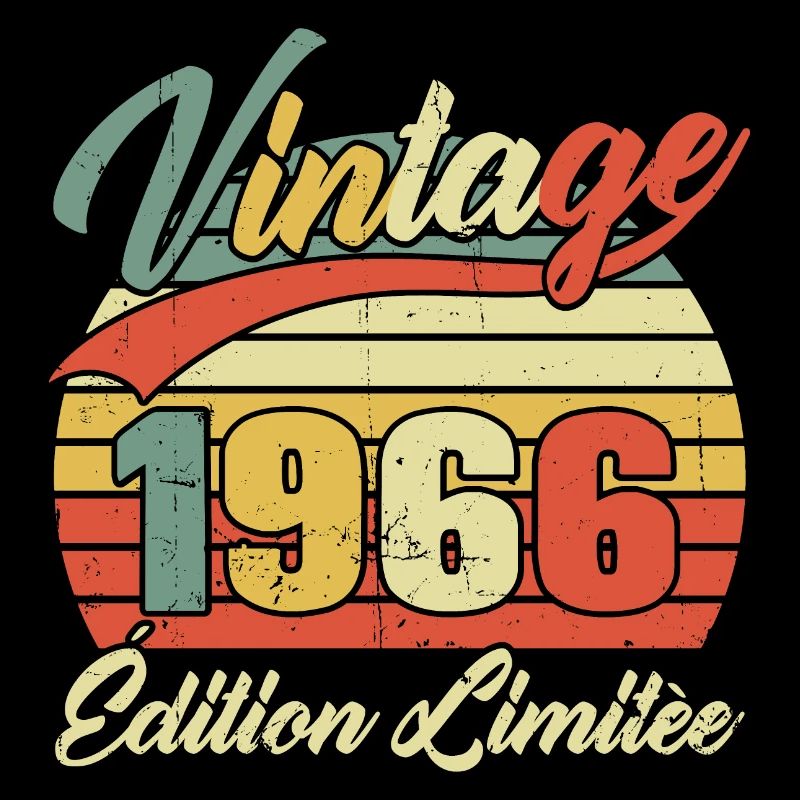 Cadeau D'anniversaire Vintage 1966 Édition Limitée