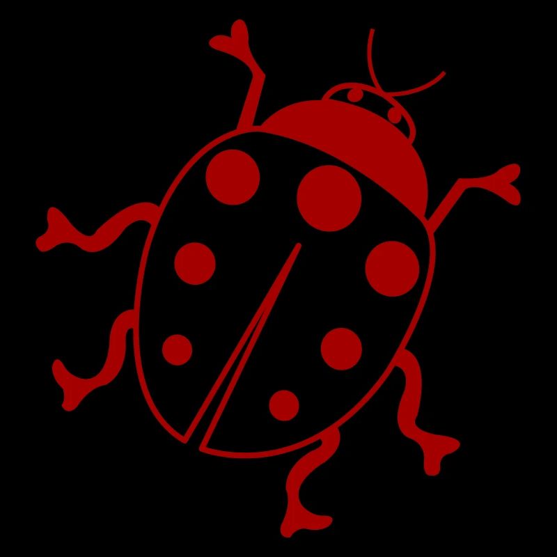 Ladybug 1
