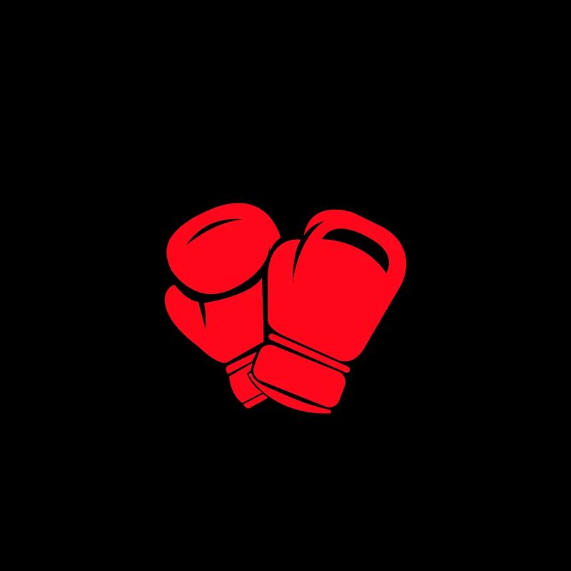 Boxer Icon