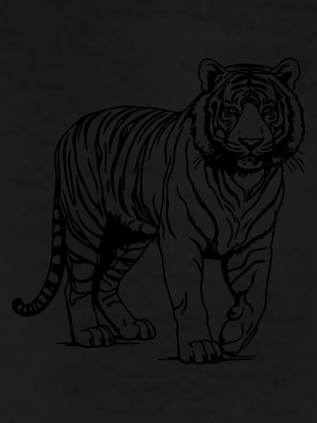 tiger