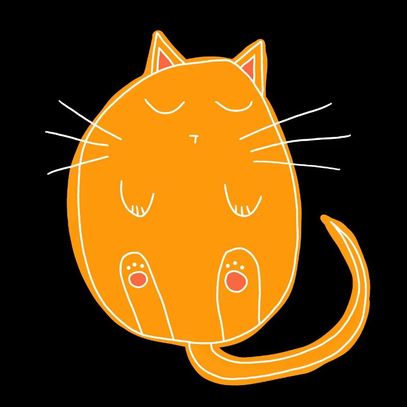 sleeping cat
