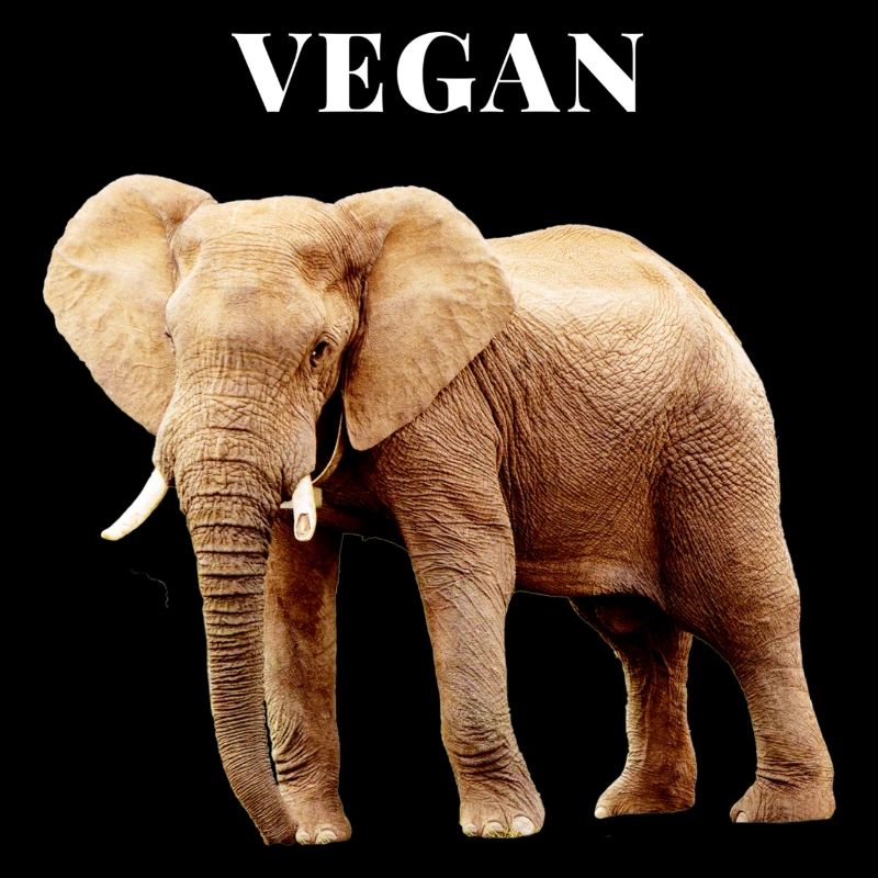 Éléphant végétalien