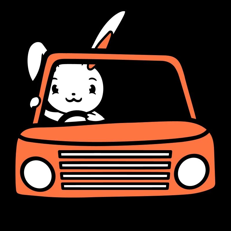 Rabbit Driving Car Driver Driving License Passed