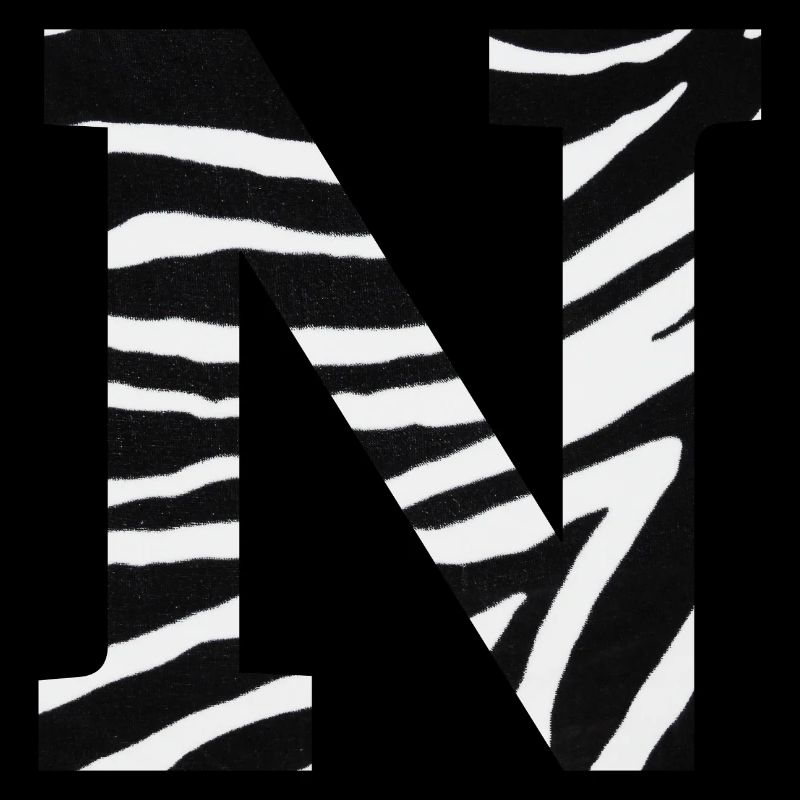Letter n zebra