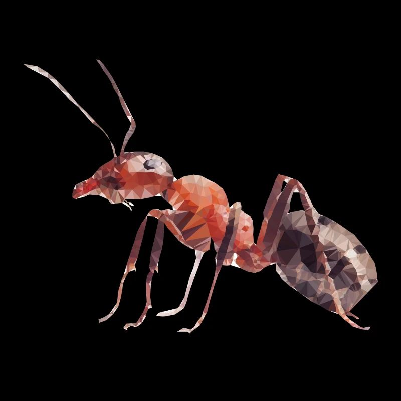 ant