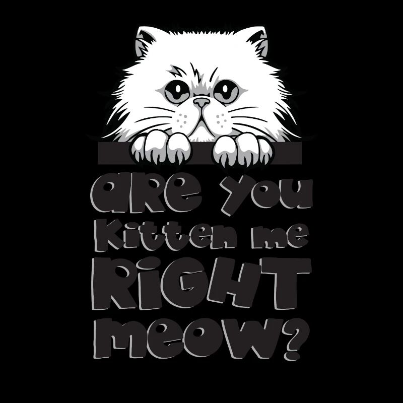 Cadeau chat chat face griffe course chat