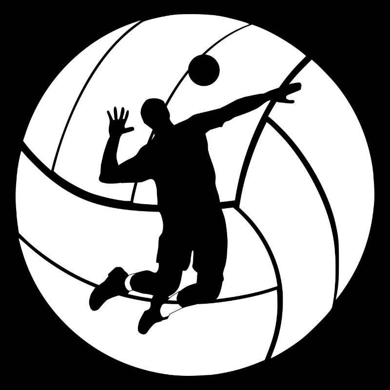 volley-ball