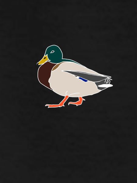 Duck