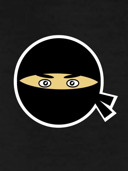 Ninja head