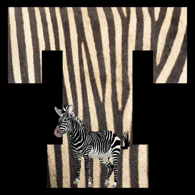 zebra t
