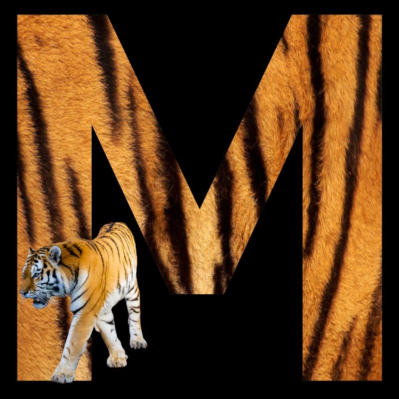 tiger m