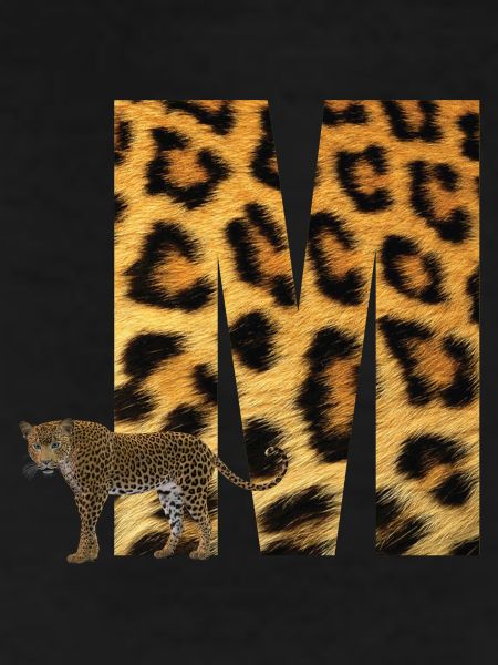 leopard m