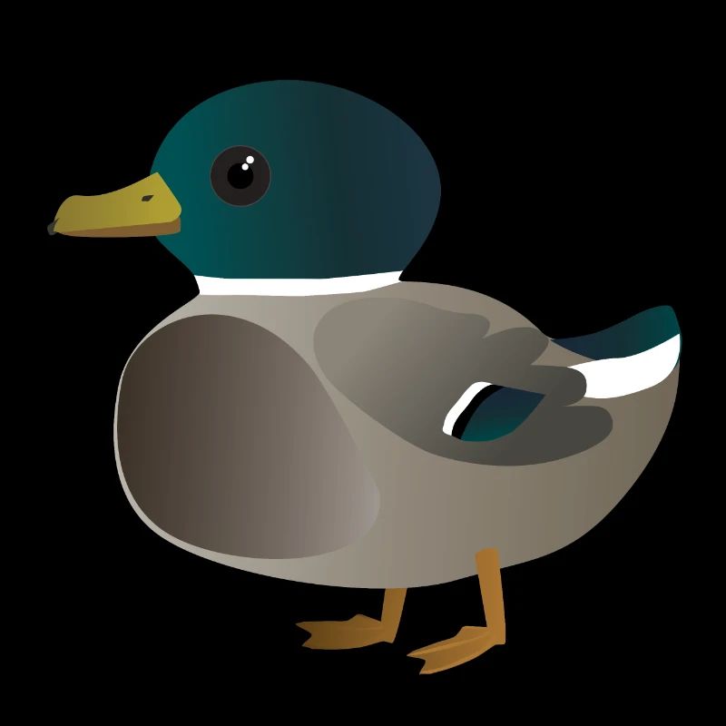 Cute little duck