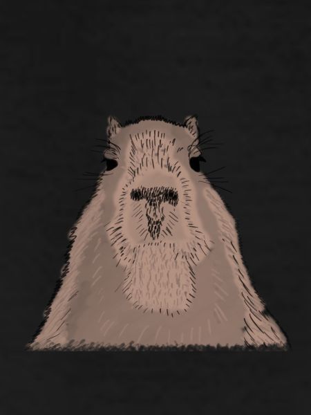 Capybara - capybara