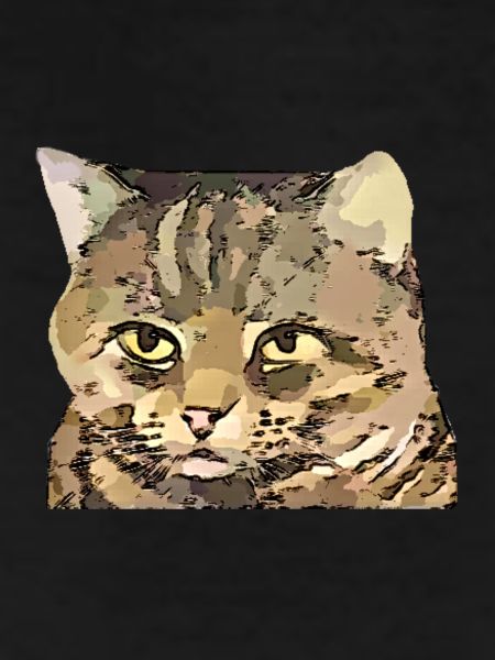 chat